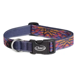 Dog Collars