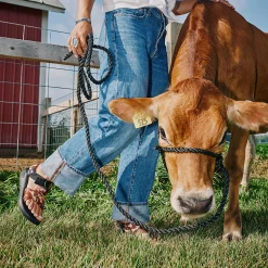 Men's Mega Cow Z/1 Wide-Strap Classic Sandal